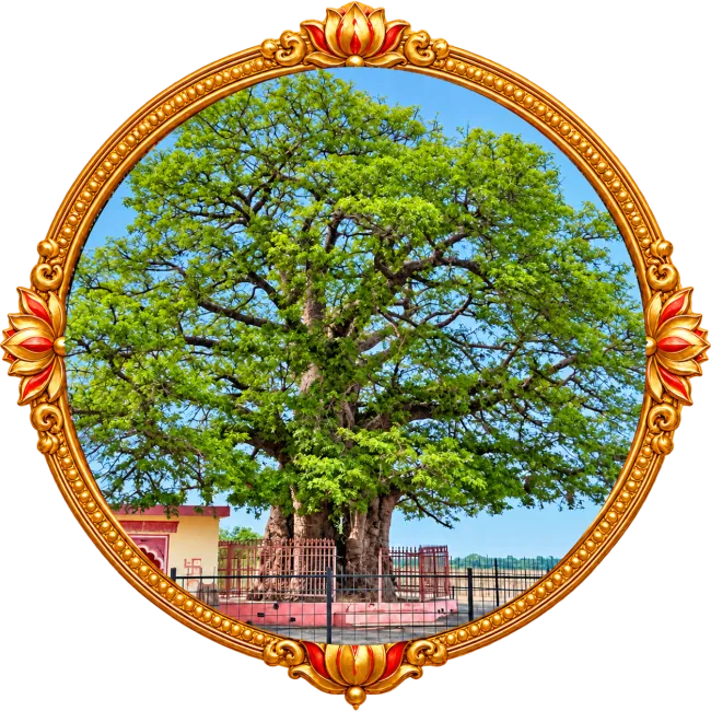 Kalpavriksha Temple Hamirpur